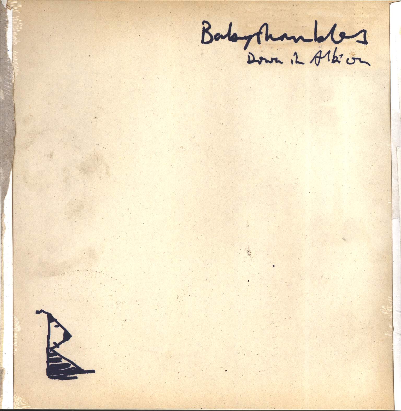 Babyshambles: Down In Albion