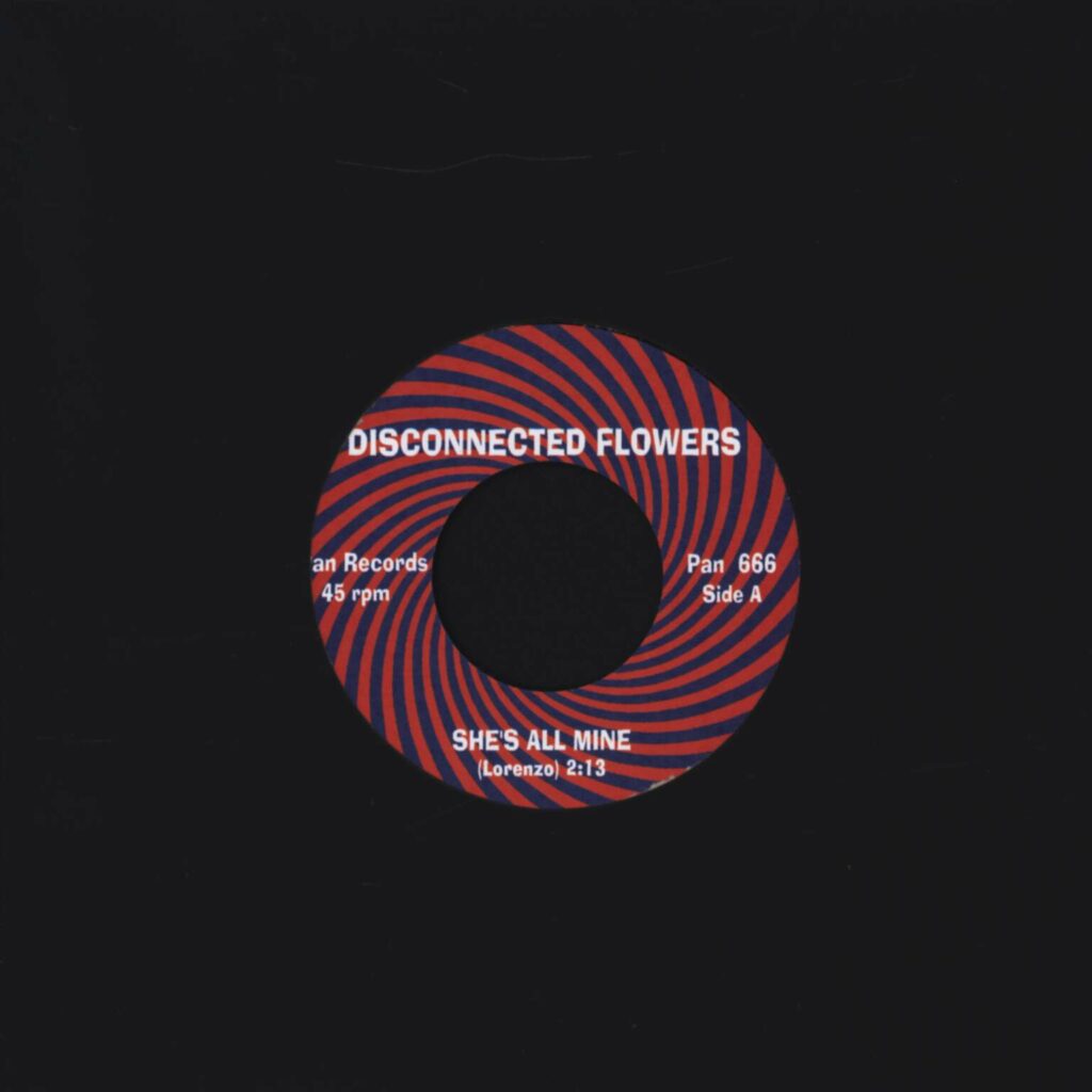 Disconnected Flowers: She's All Mine / Run Little Girl, 7" Single (Vinyl)