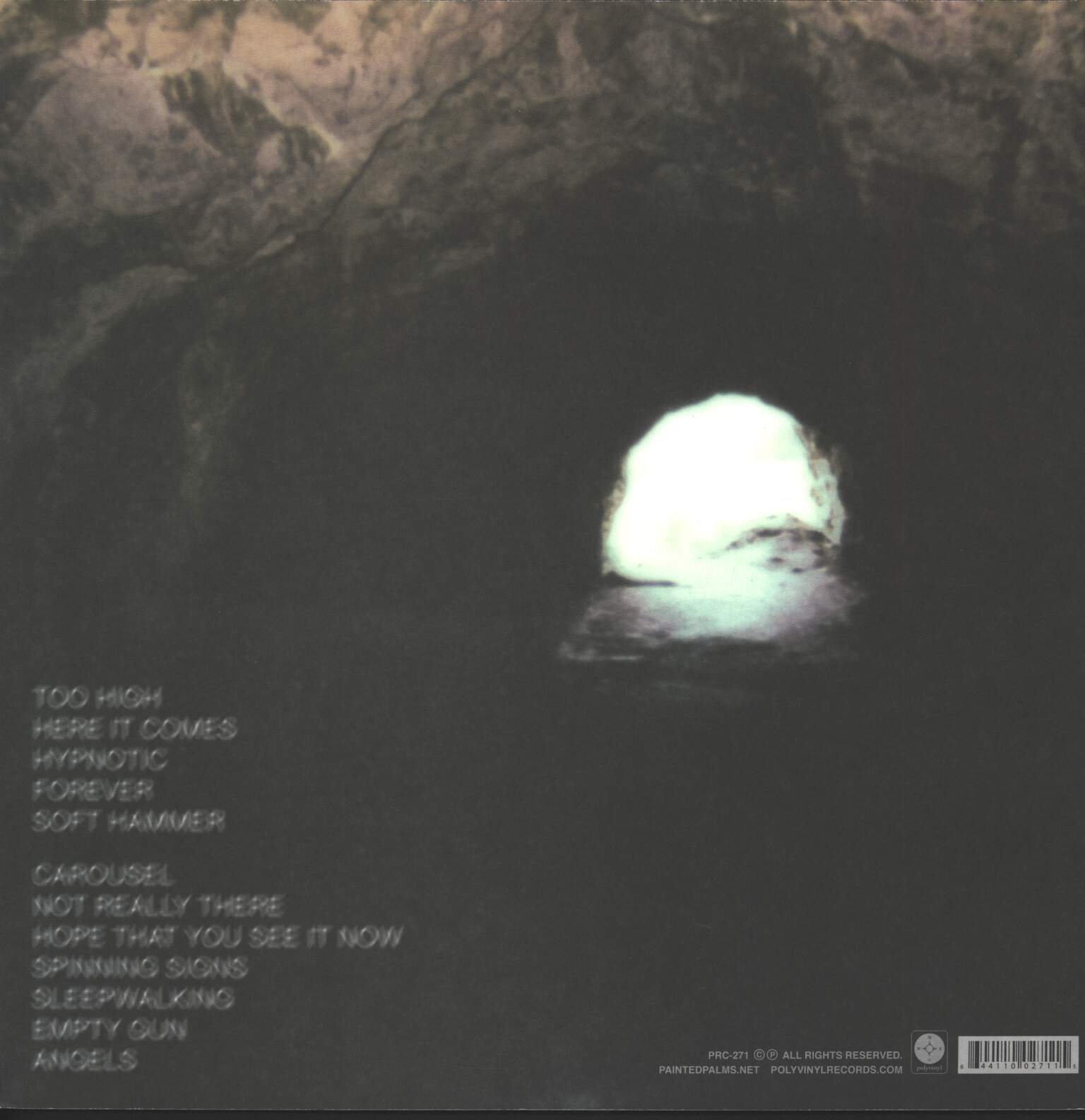 Painted Palms: Forever, LP (Vinyl)