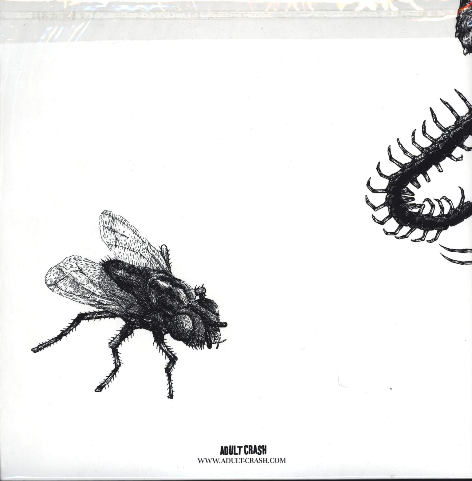 Death Token: They Worship Us, LP (Vinyl)