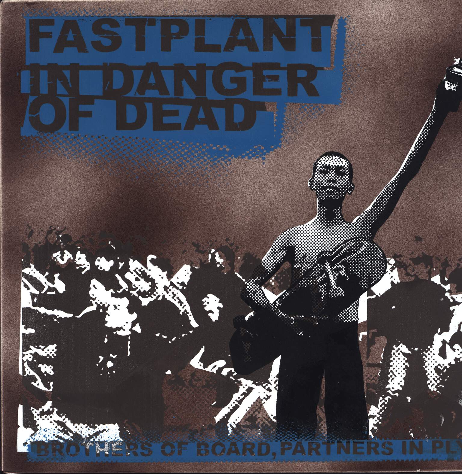 In Danger Of Dead: Brothers Of Board, Partners In Ply, LP (Vinyl)