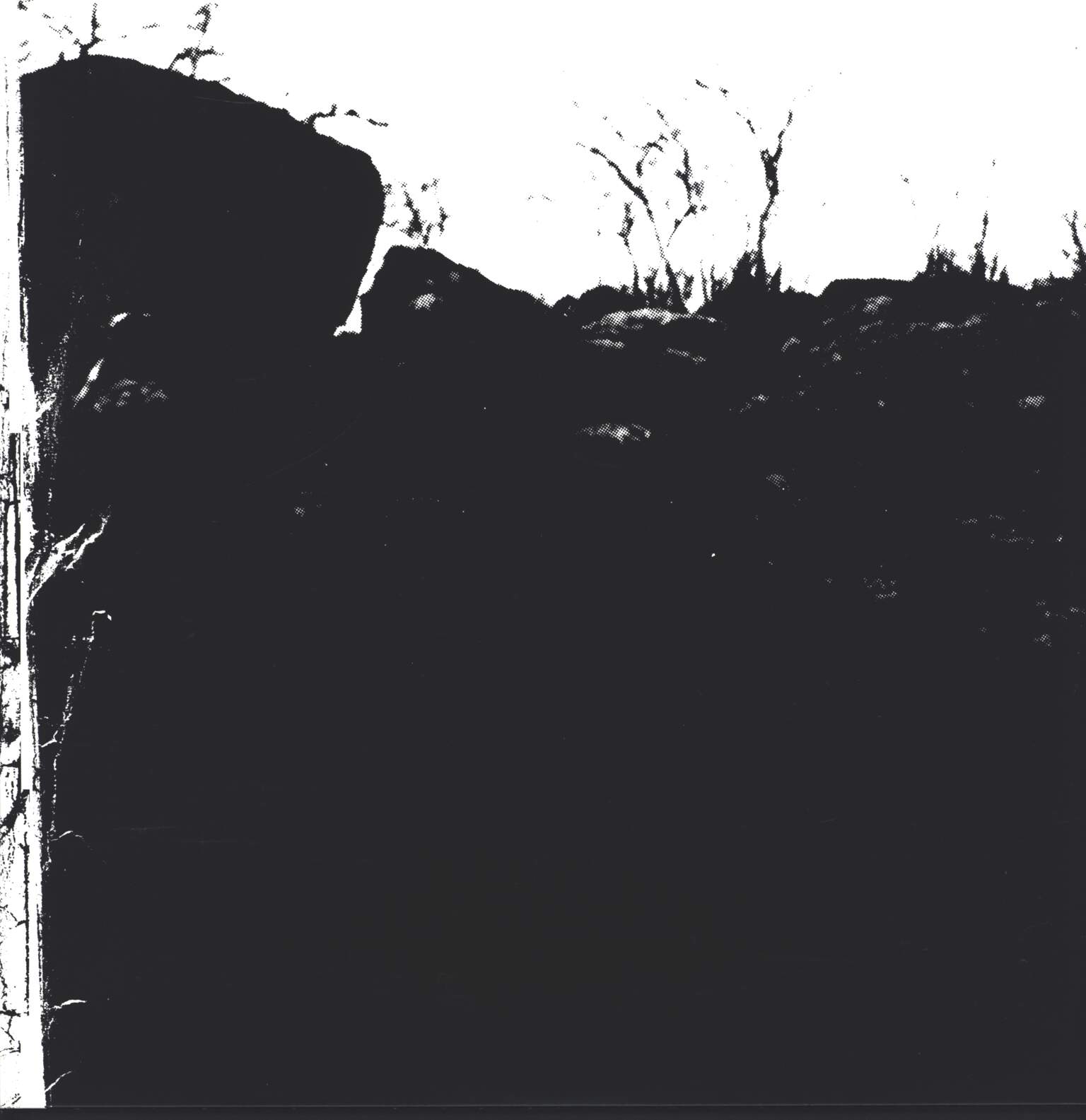 Destrucktions: Complete Destrucktions, LP (Vinyl)