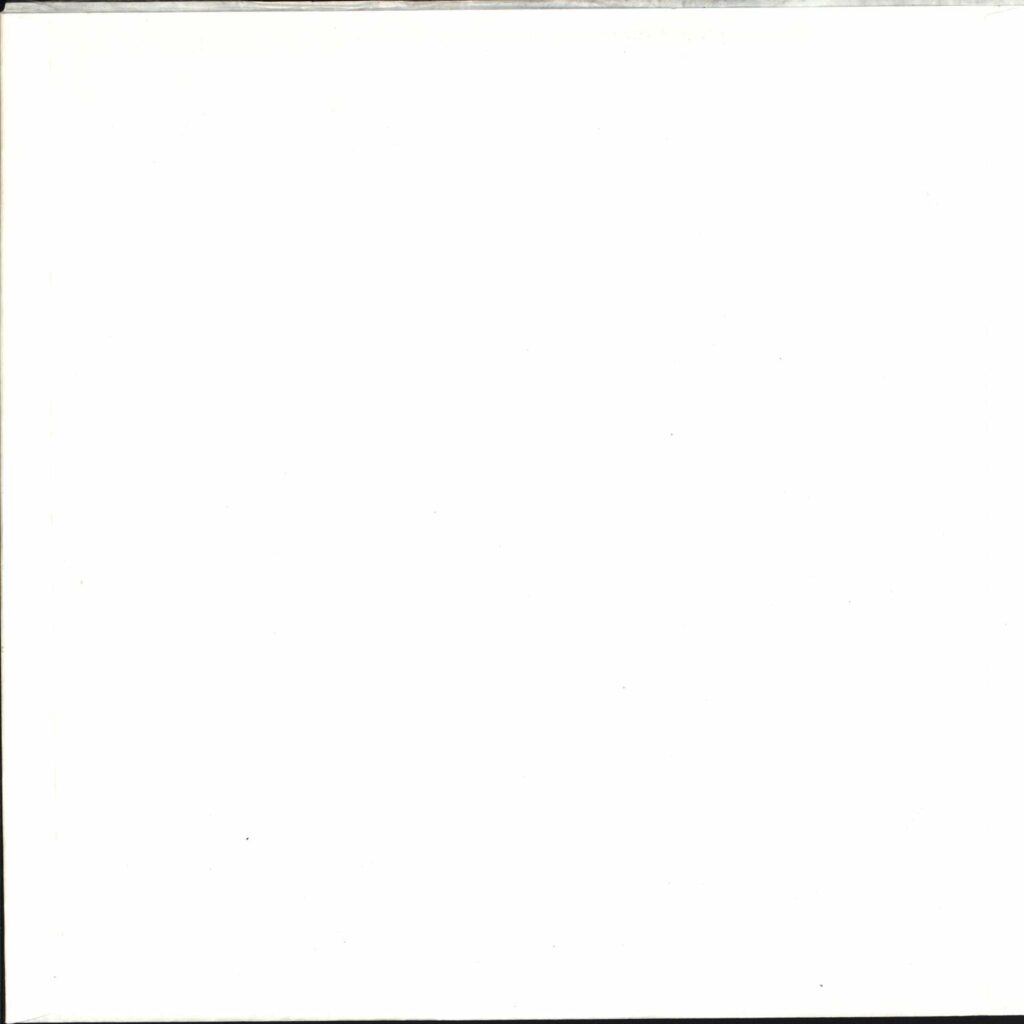 Acao Direta: Revolta / Repudio / Confronto / Resistência, LP (Vinyl)