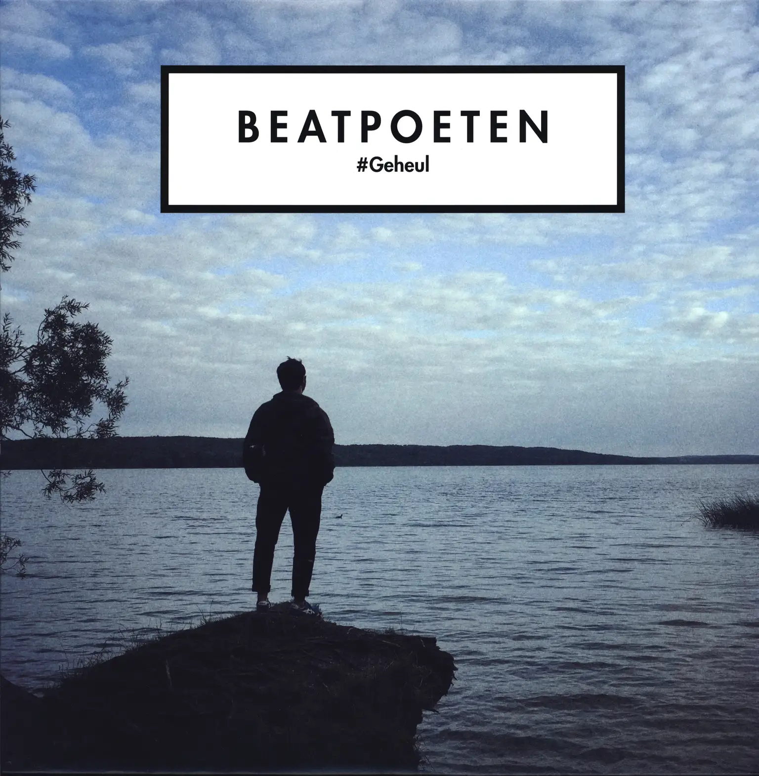 Beatpoeten: #Geheul, LP (Vinyl)