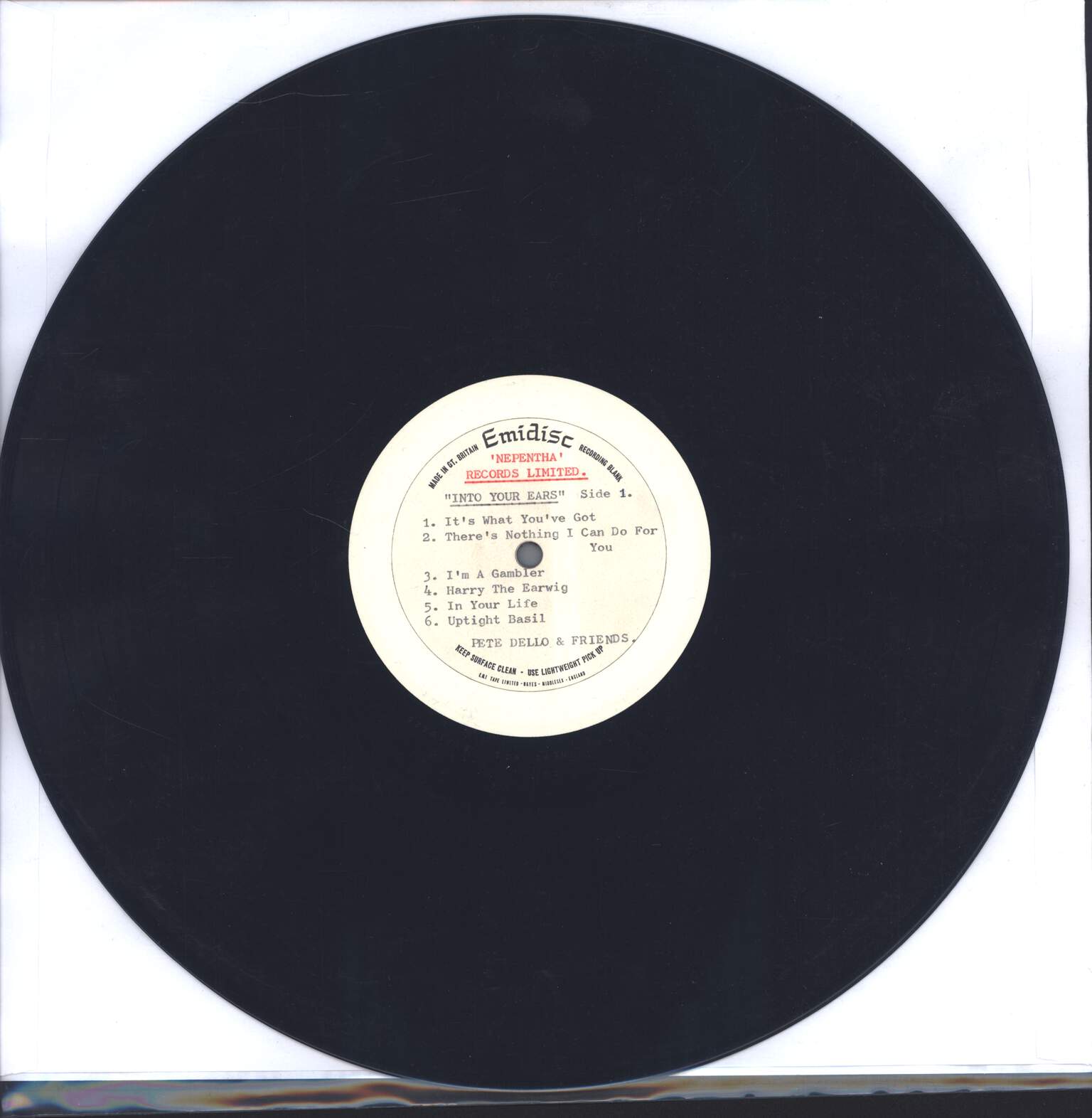Pete Dello And Friends: Into Your Ears, LP (Vinyl)