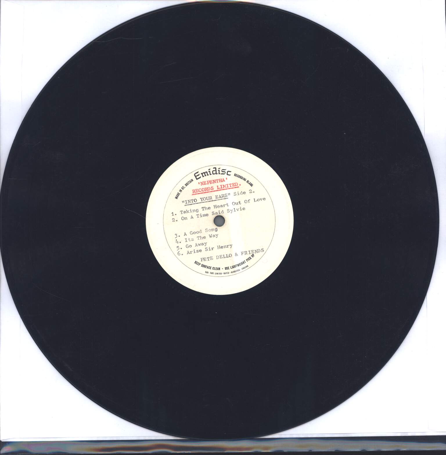 Pete Dello And Friends: Into Your Ears, LP (Vinyl)