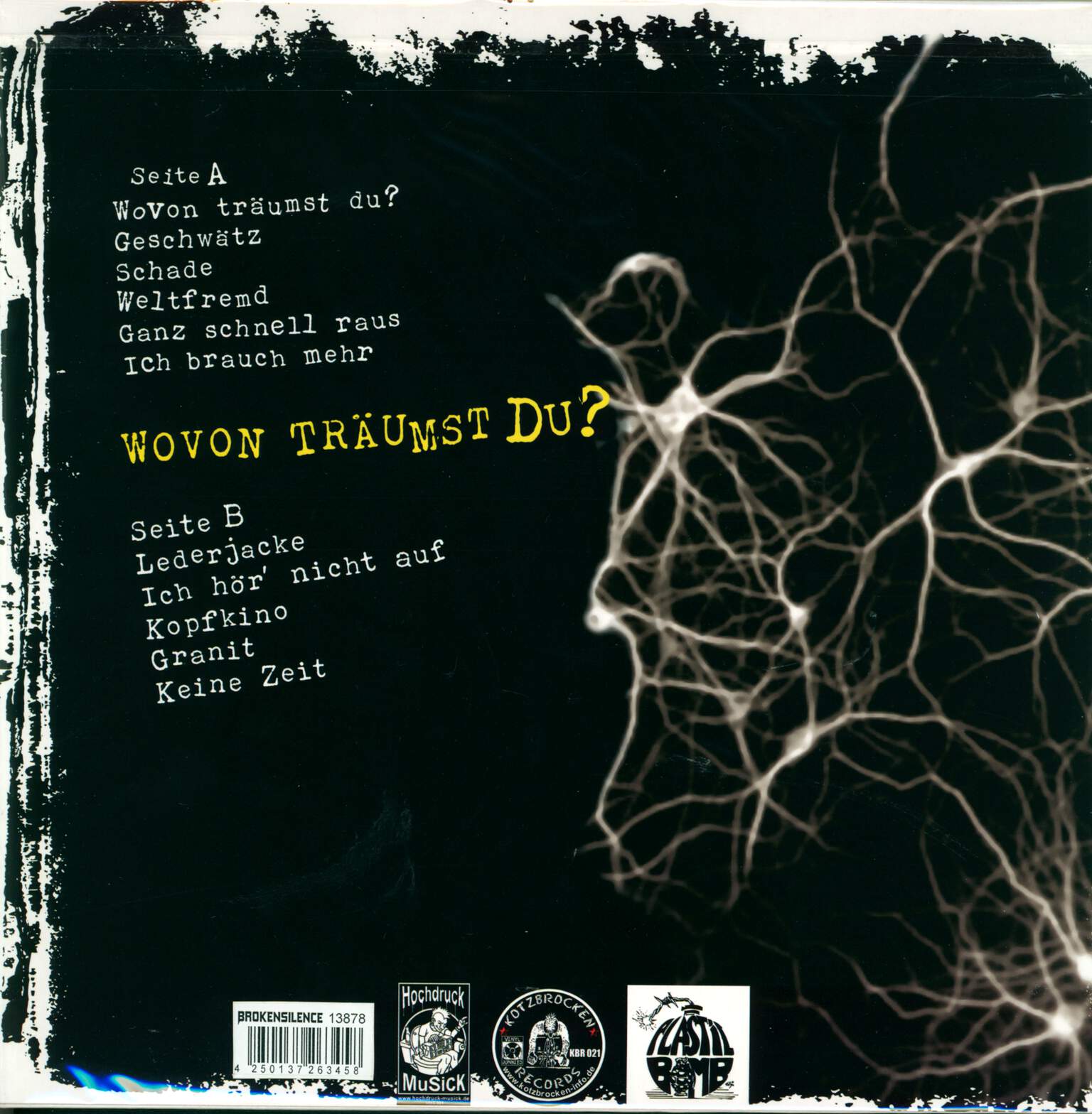 BicahunaS: Wovon Träumst Du?, LP (Vinyl)