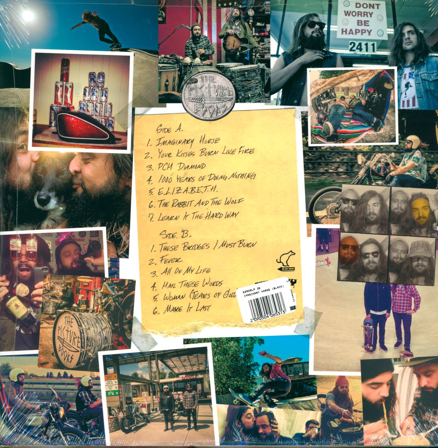 The Picturebooks: Imaginary Horse, LP (Vinyl)