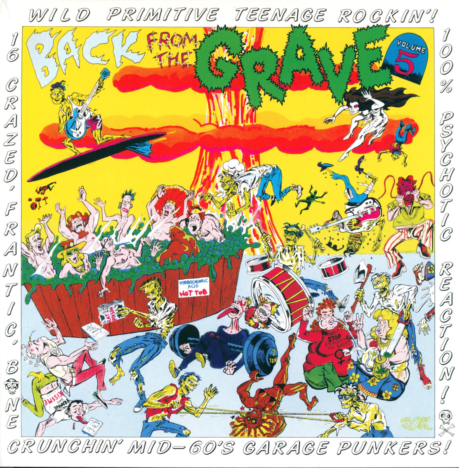 Various: Back From The Grave Volume 5, LP (Vinyl)