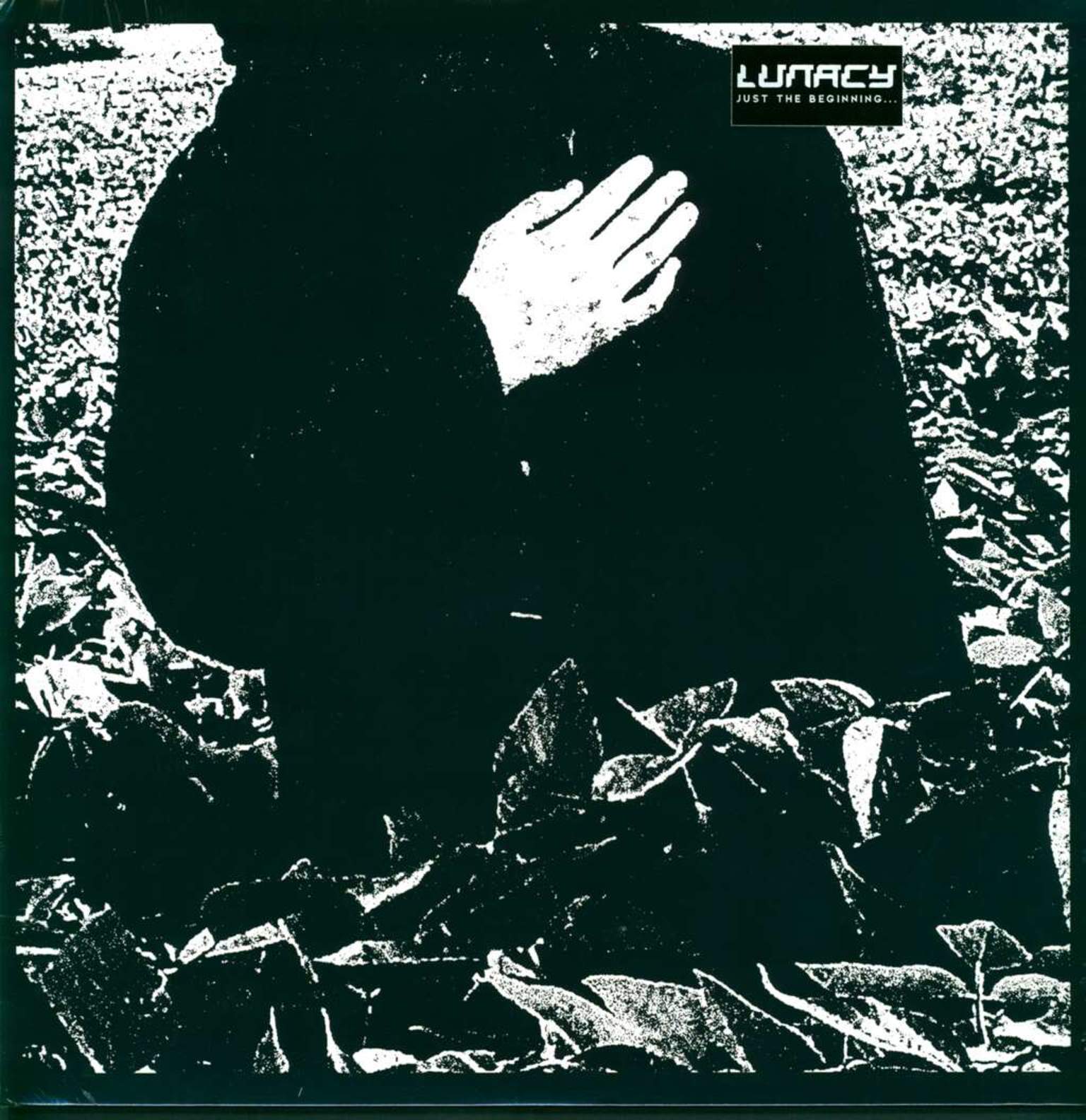 Lunacy: Just The Beginning..., LP (Vinyl)