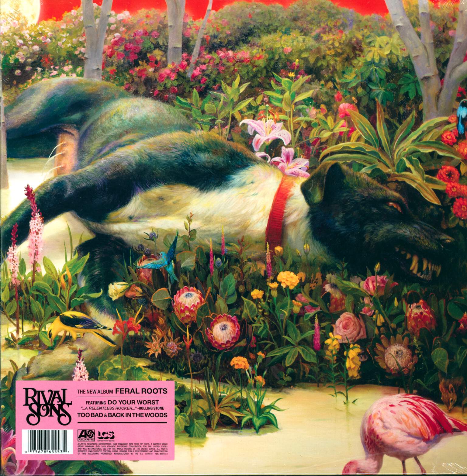 Rival Sons: Feral Roots, LP (Vinyl)