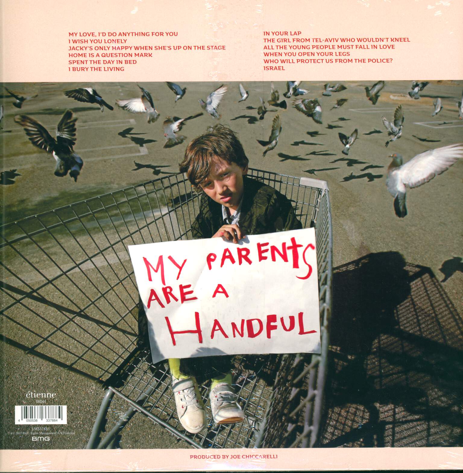 Morrissey: Low In High School, LP (Vinyl)