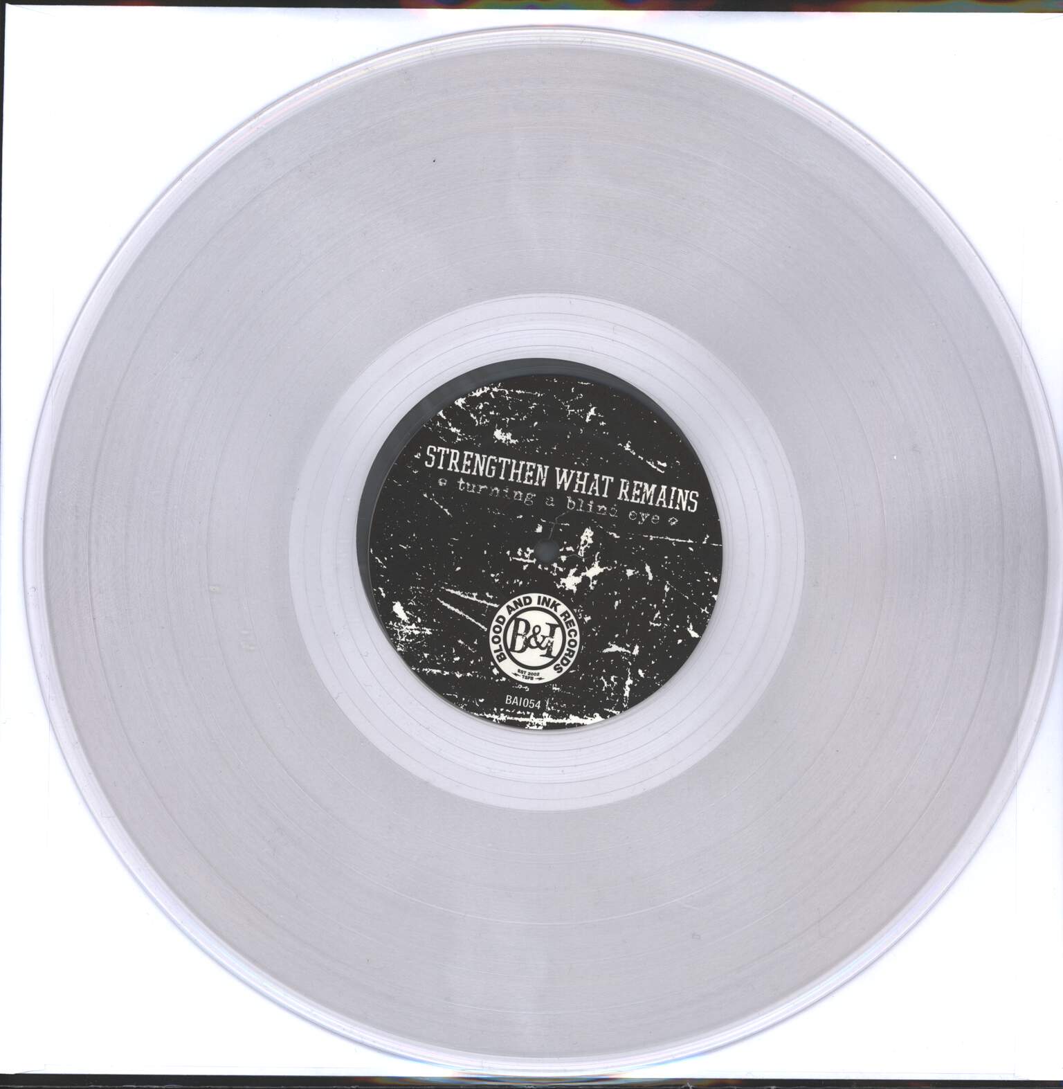 Strengthen What Remains: Turning A Blind Eye, LP (Vinyl)