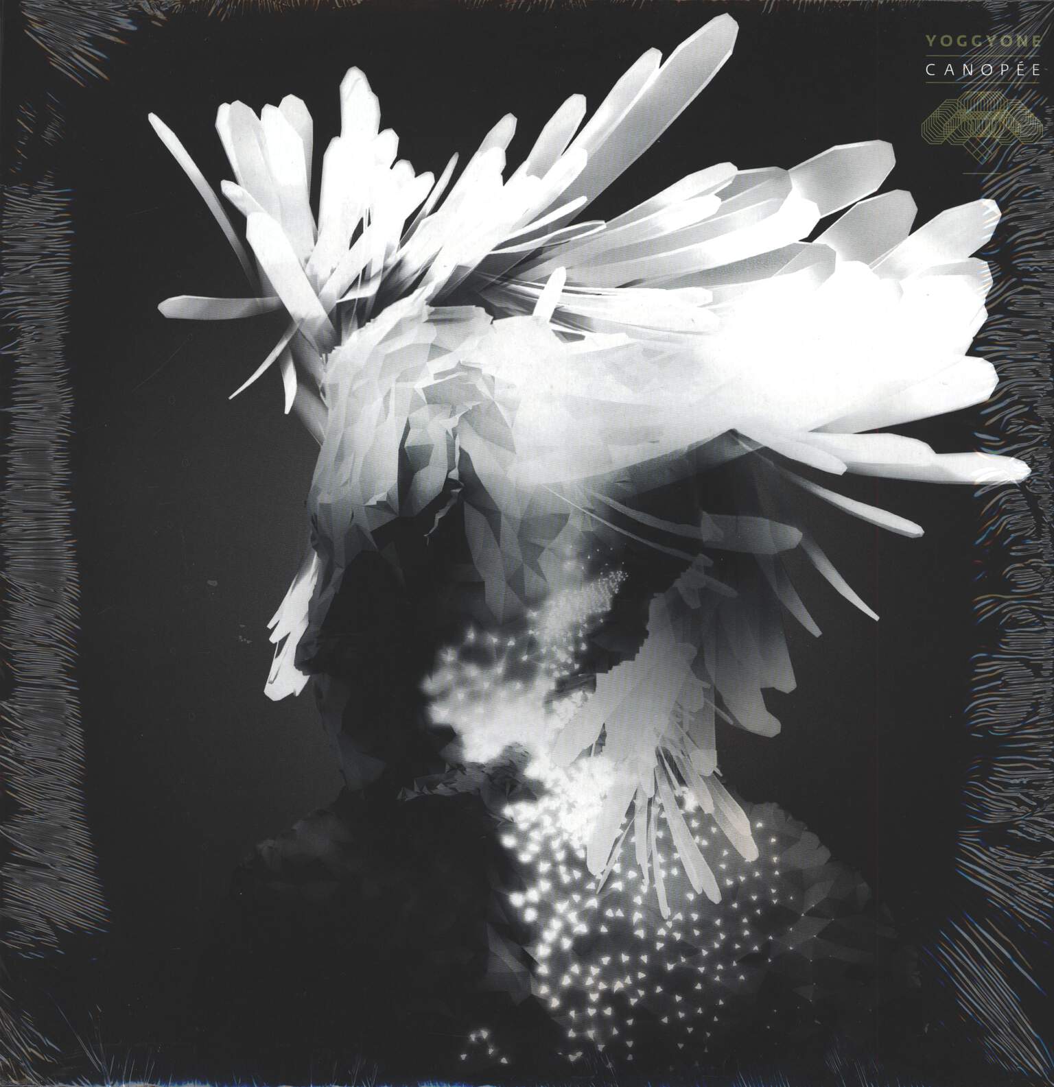 Yoggyone: Canopée, LP (Vinyl)