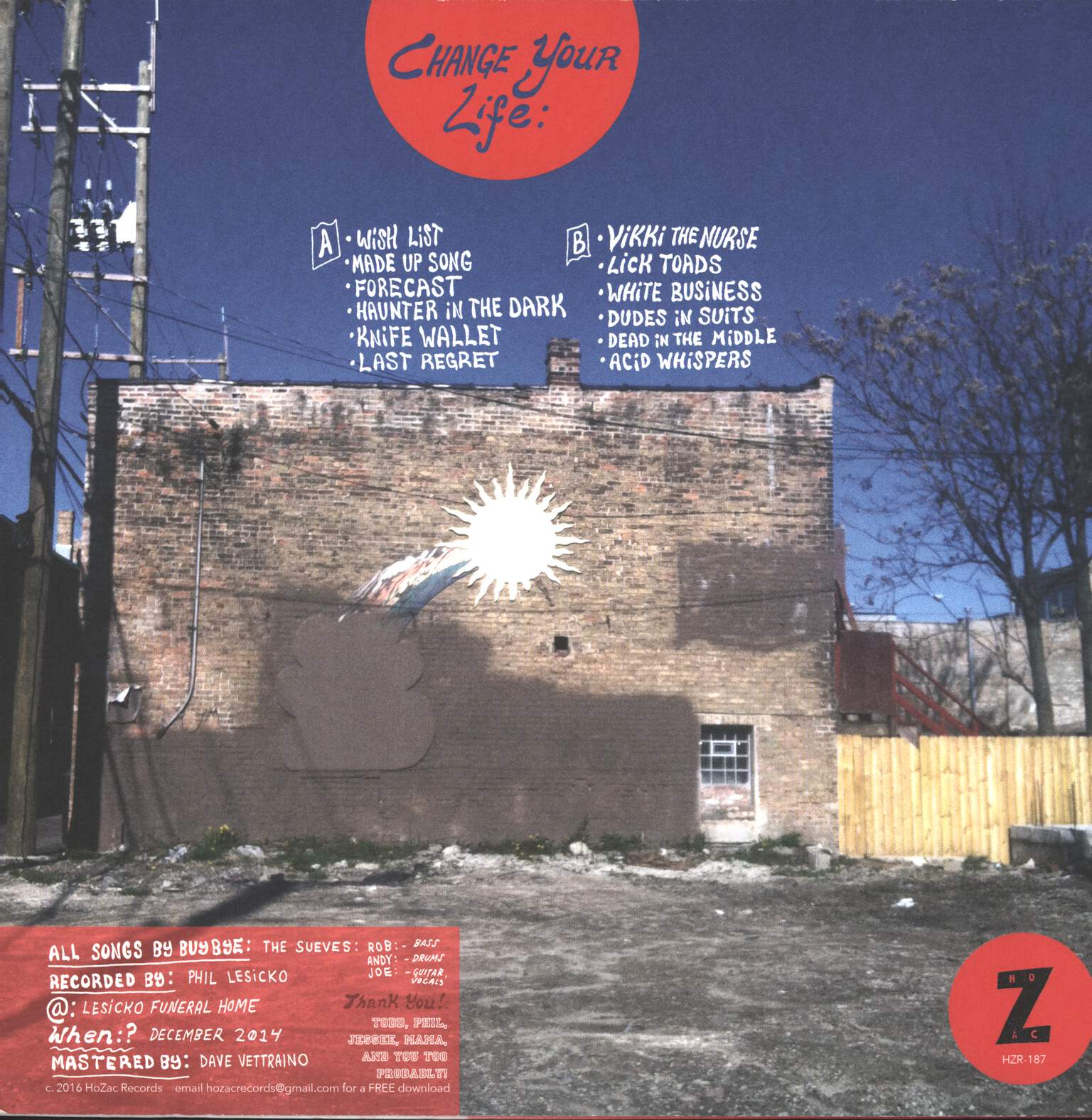 The Sueves: Change Your Life, LP (Vinyl)