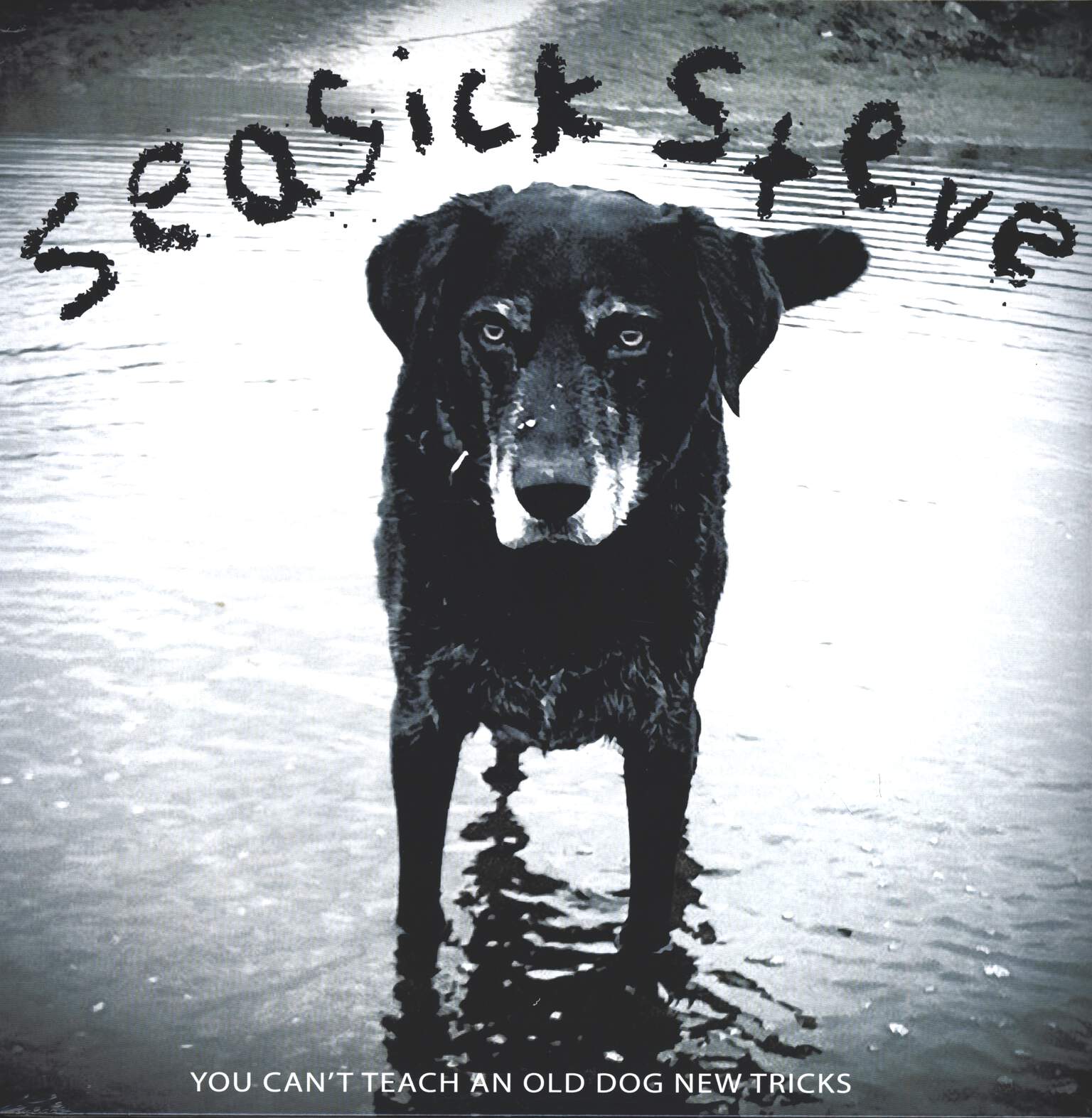 Seasick Steve: You Can't Teach An Old Dog New Tricks, LP (Vinyl)