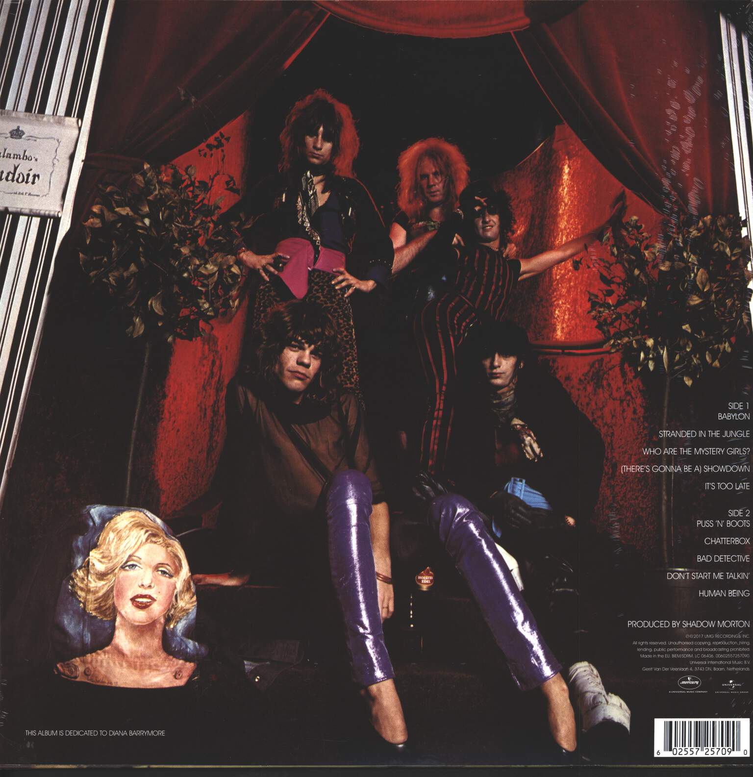 New York Dolls: Too Much Too Soon, LP (Vinyl)