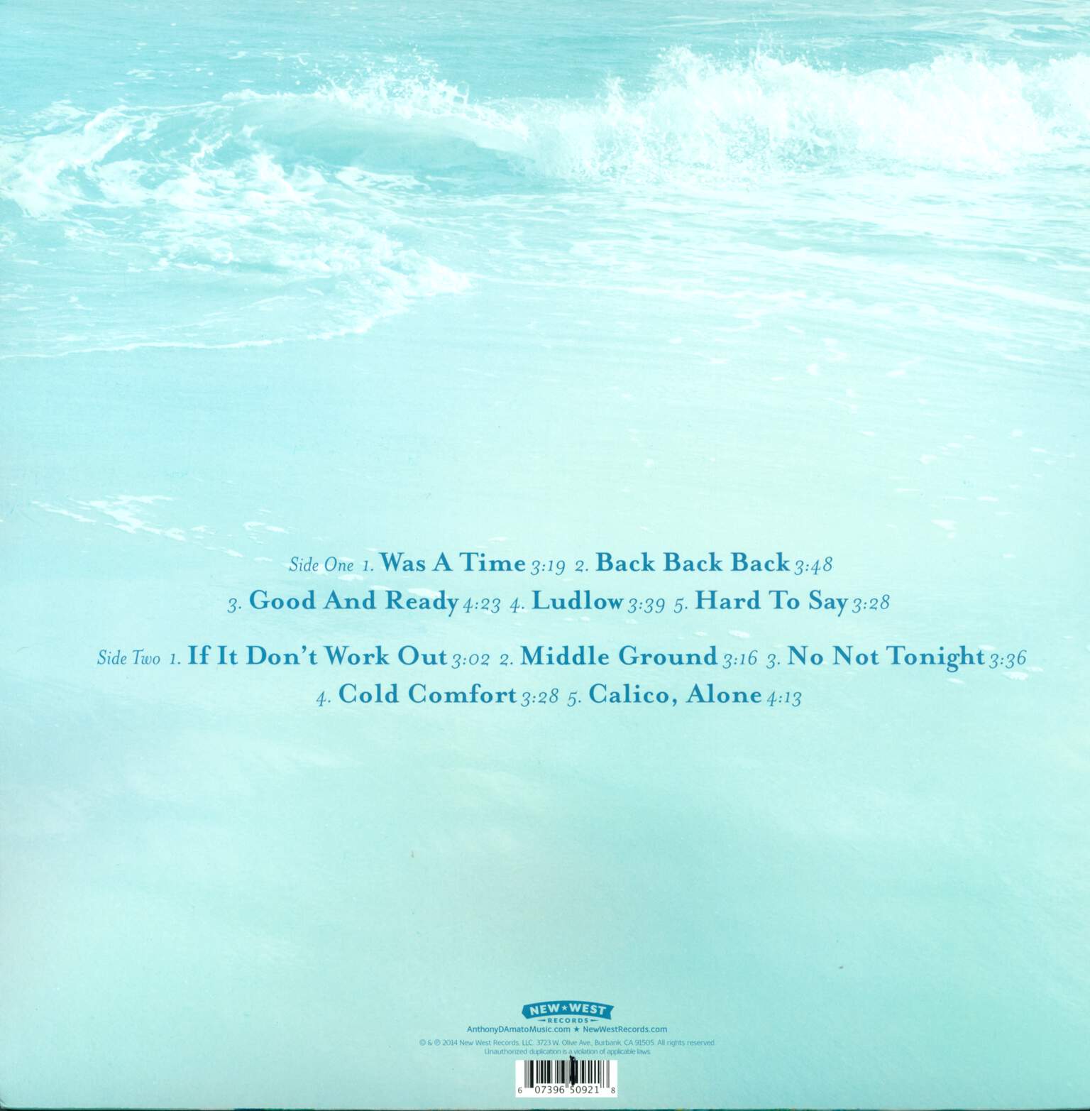 Anthony D'Amato: The Shipwreck from the Shore, LP (Vinyl)