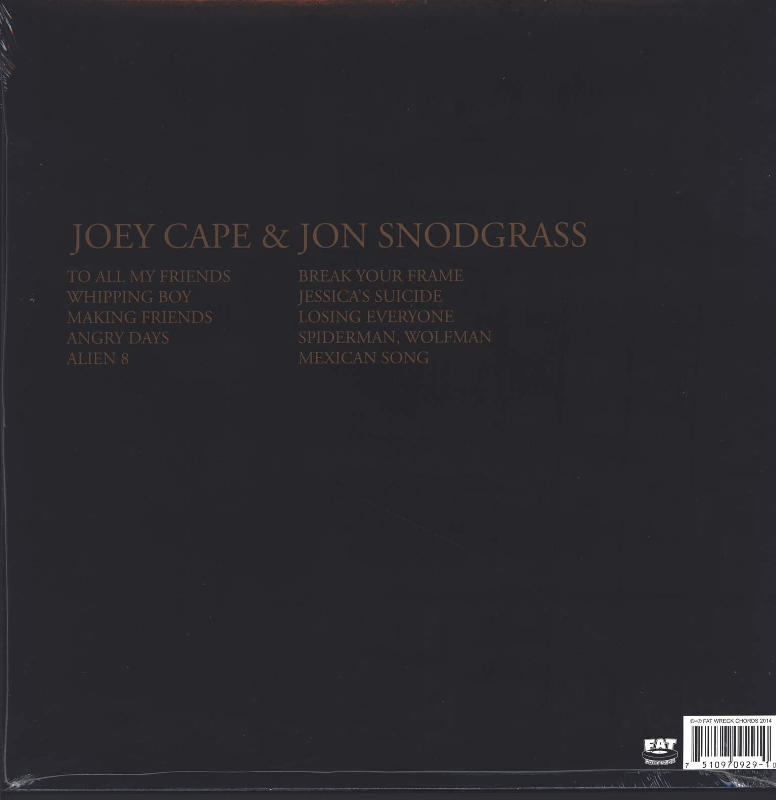 Joey Cape: Liverbirds, 12" Maxi Single (Vinyl)
