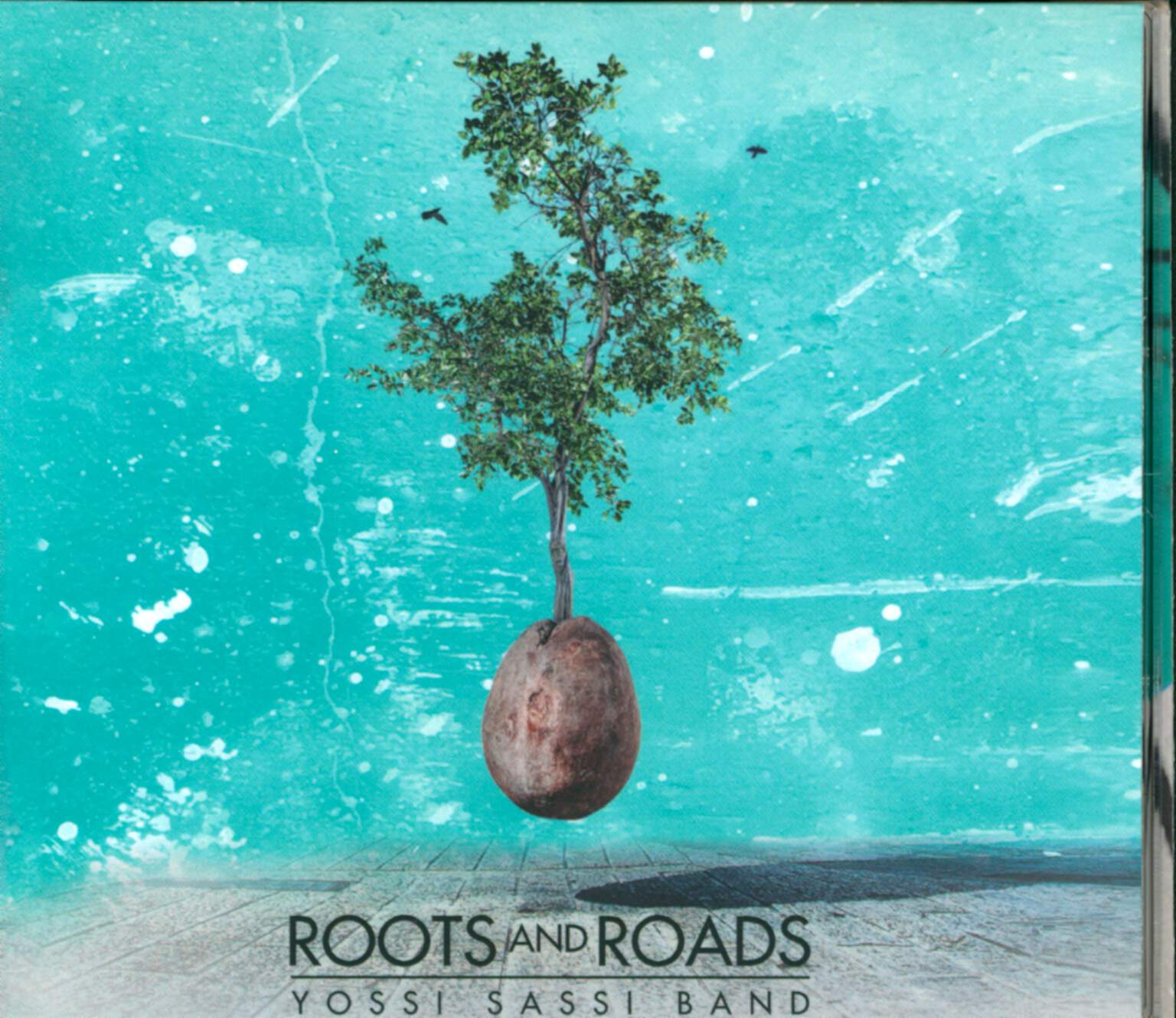 Yossi Sassi Band: Roots And Roads, CD
