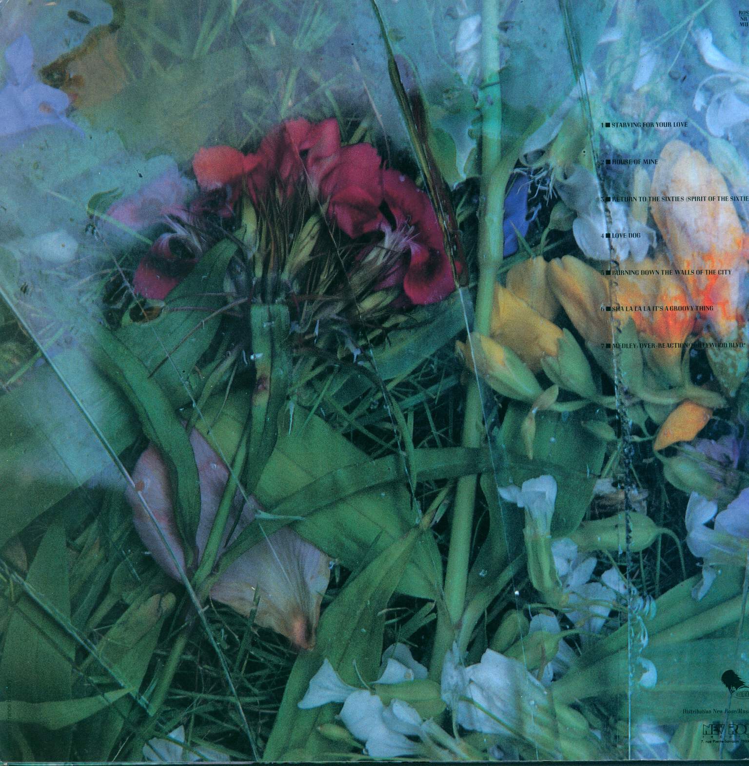 Sky Saxon: A Groovy Thing, LP (Vinyl)