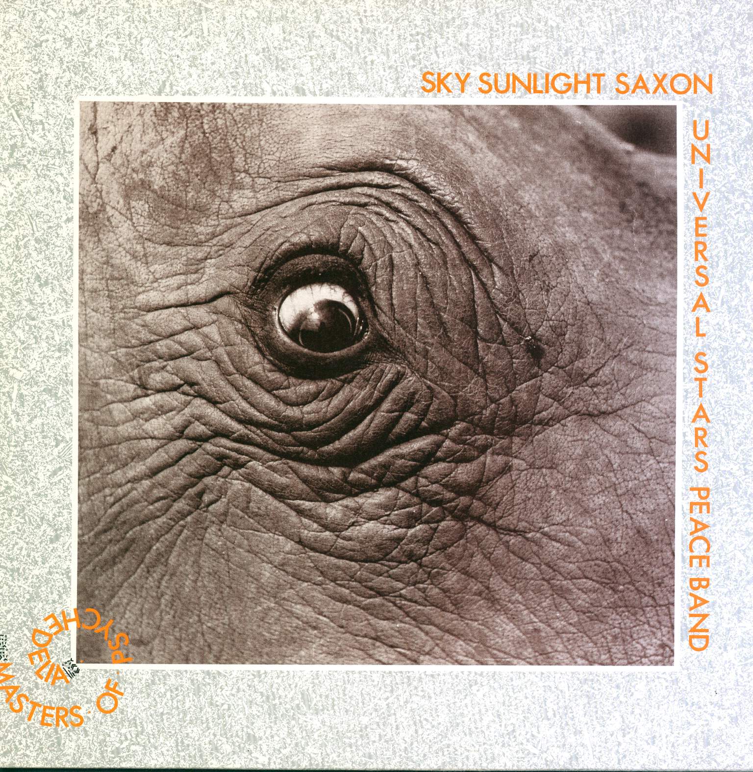 Sky Saxon: Masters Of Psychedelia, LP (Vinyl)