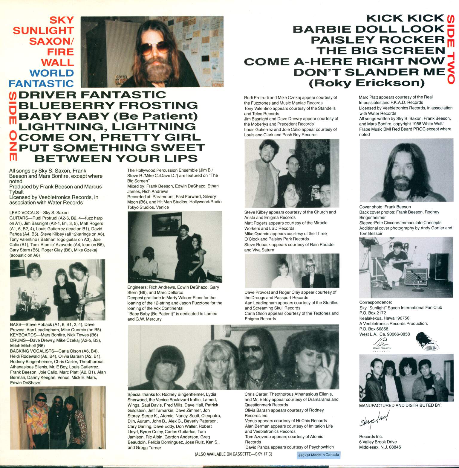 Sky Saxon: World Fantastic, LP (Vinyl)