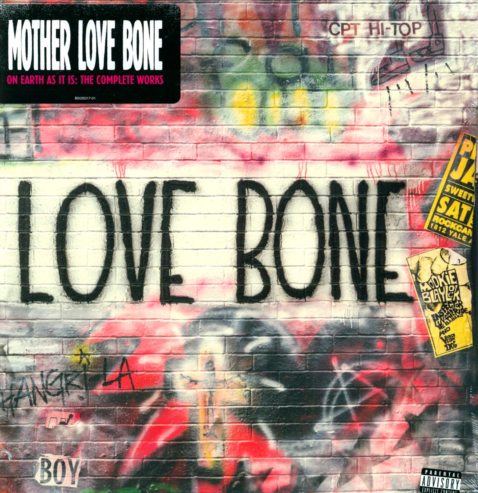 Mother Love Bone: On Earth As It Is: The Complete Works, 3×LP (Vinyl)