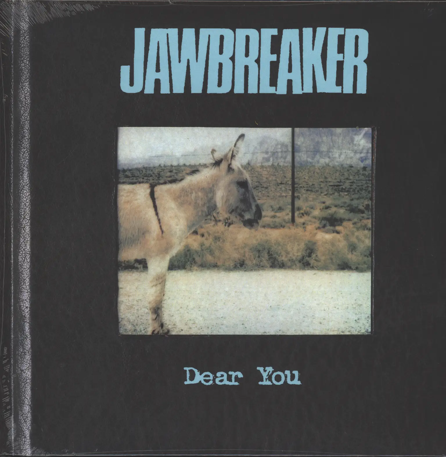 Jawbreaker: Dear You, LP (Vinyl)