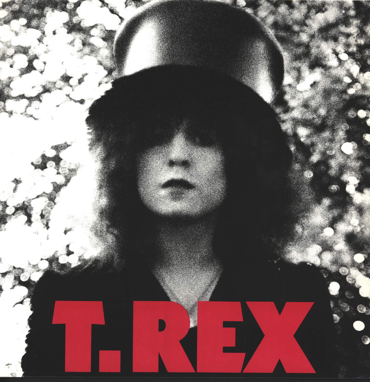 T. Rex: The Slider, LP (Vinyl)
