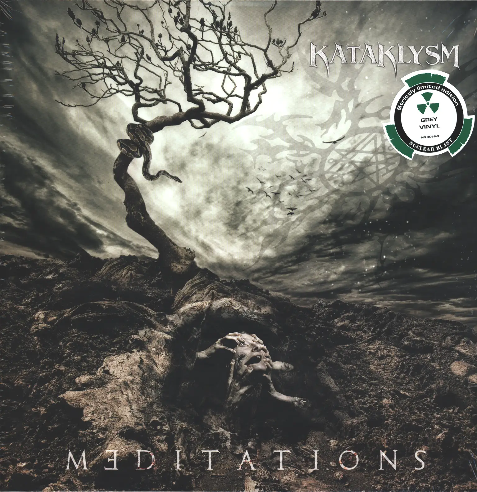 Kataklysm: Meditations, LP (Vinyl)