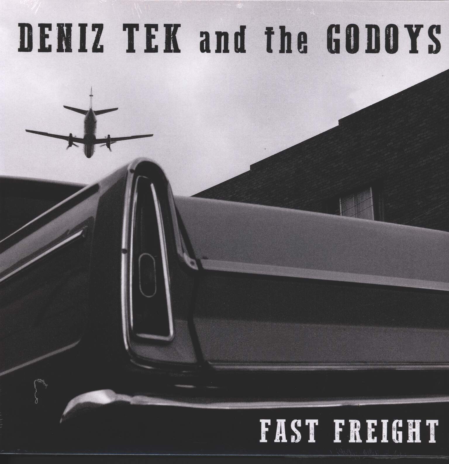 Deniz Tek And The Godoys: Fast Freight, LP (Vinyl)