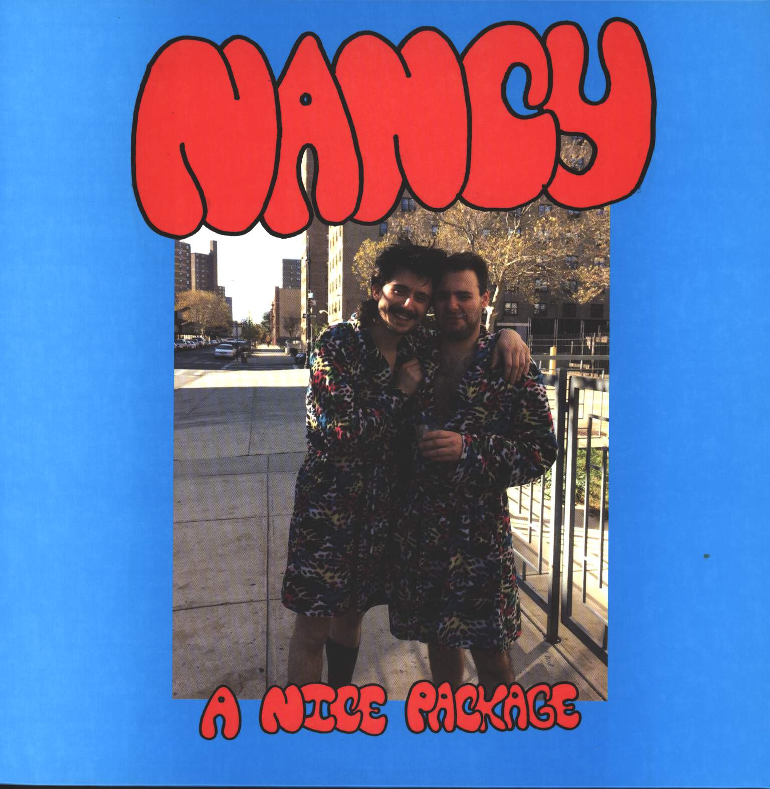 Nancy: A Nice Package, LP (Vinyl)