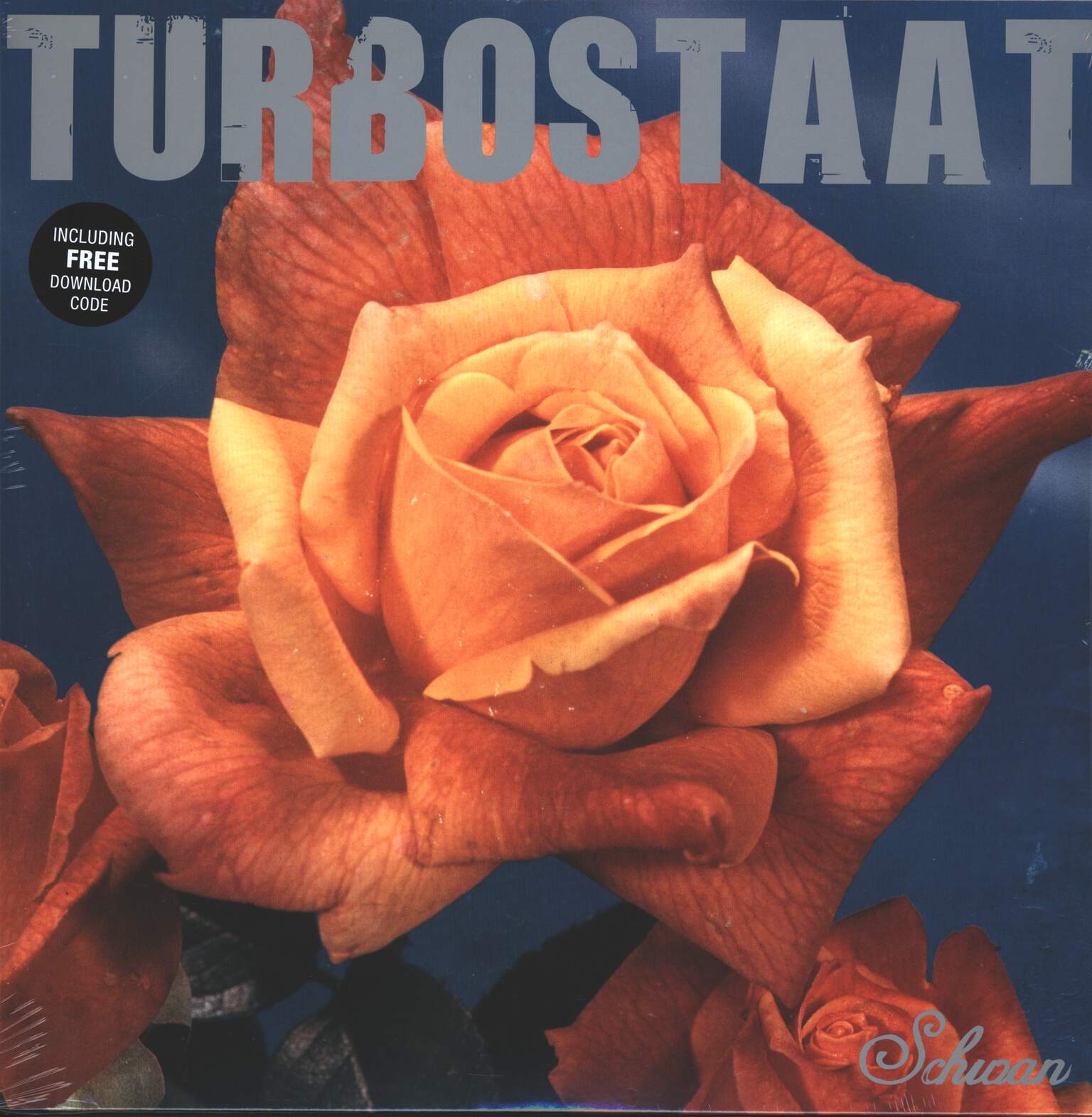 Turbostaat: Schwan, LP (Vinyl)