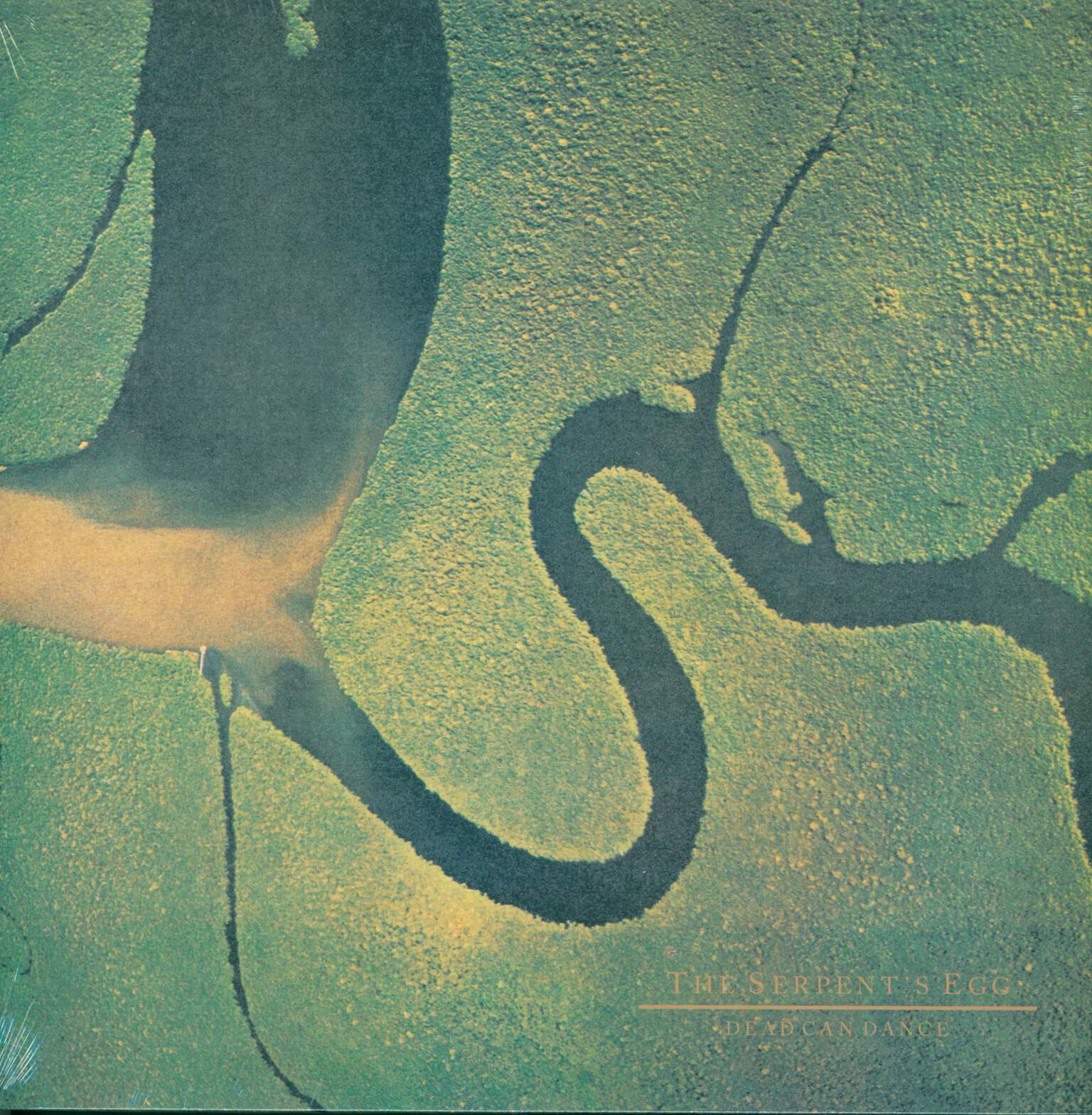 Dead Can Dance: The Serpent's Egg, LP (Vinyl)