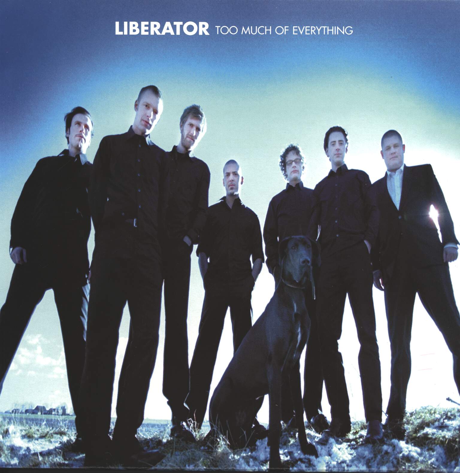 Liberator: Too Much Of Everything, LP (Vinyl)