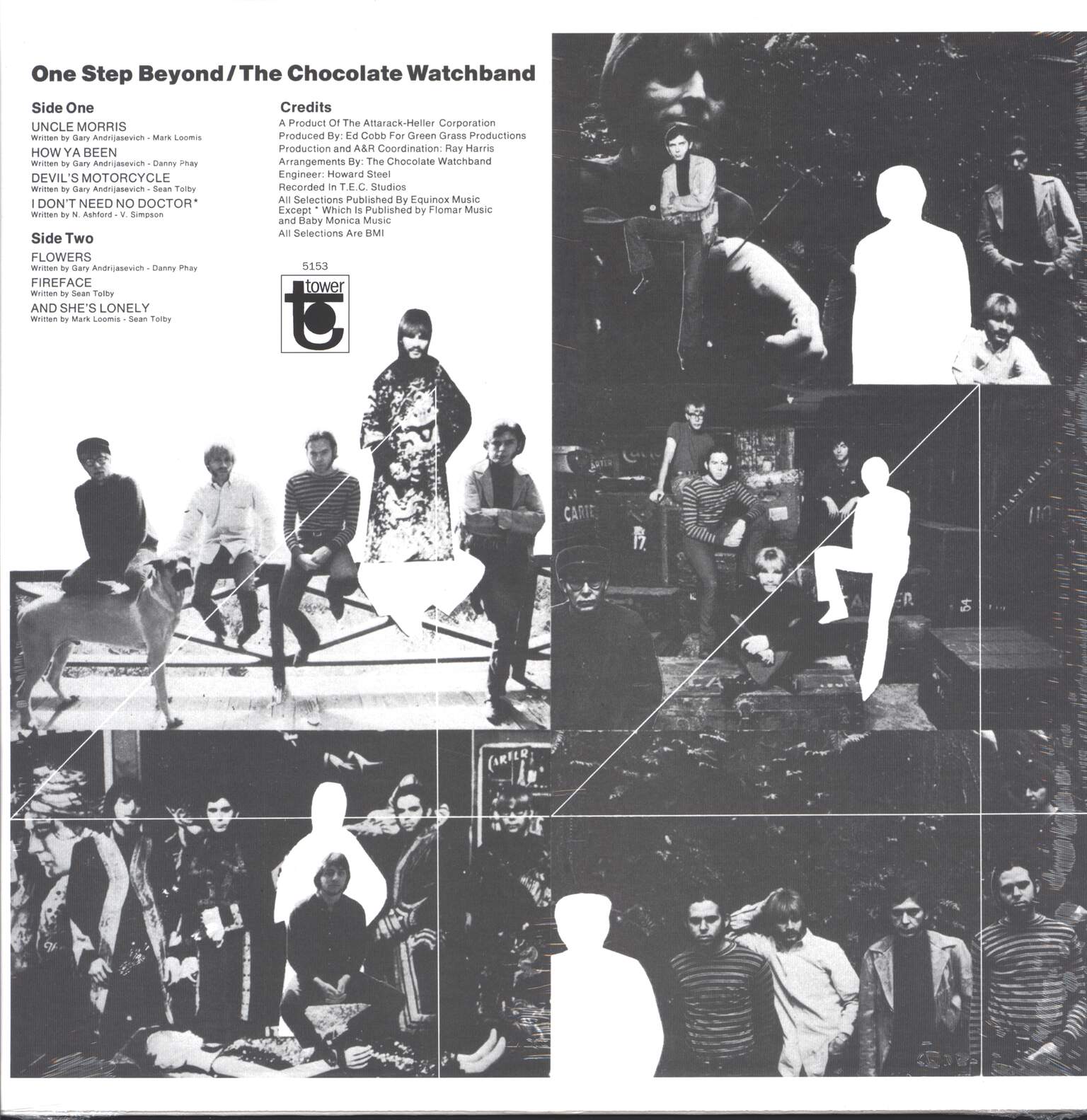 The Chocolate Watchband: One Step Beyond, LP (Vinyl)