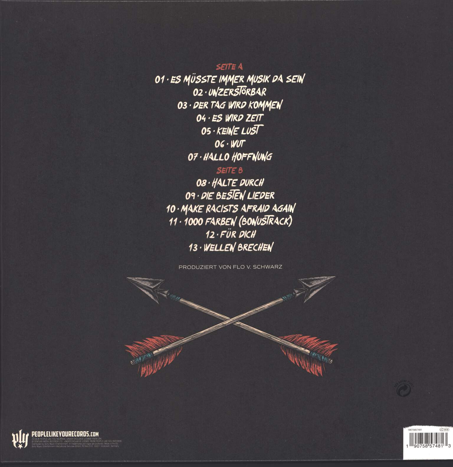 Zsk: Hallo Hoffnung, LP (Vinyl)