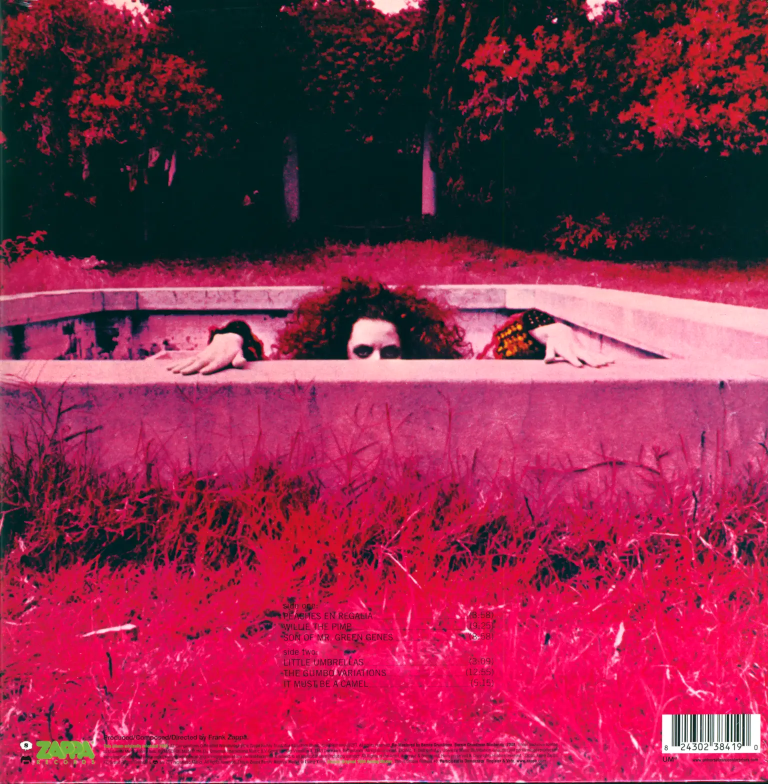 Frank Zappa: Hot Rats, LP (Vinyl)
