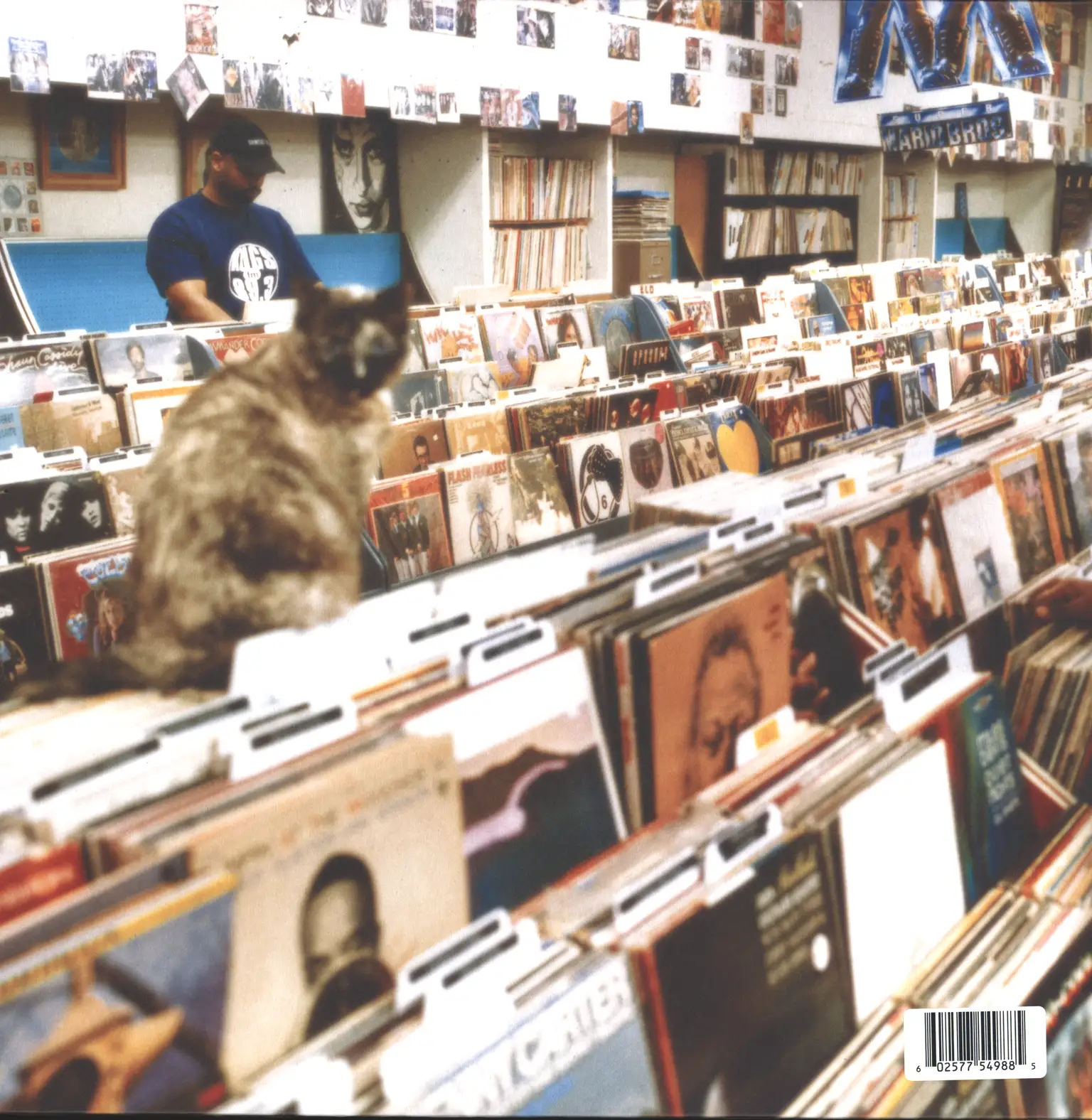 DJ Shadow: Endtroducing..., 2×LP (Vinyl)