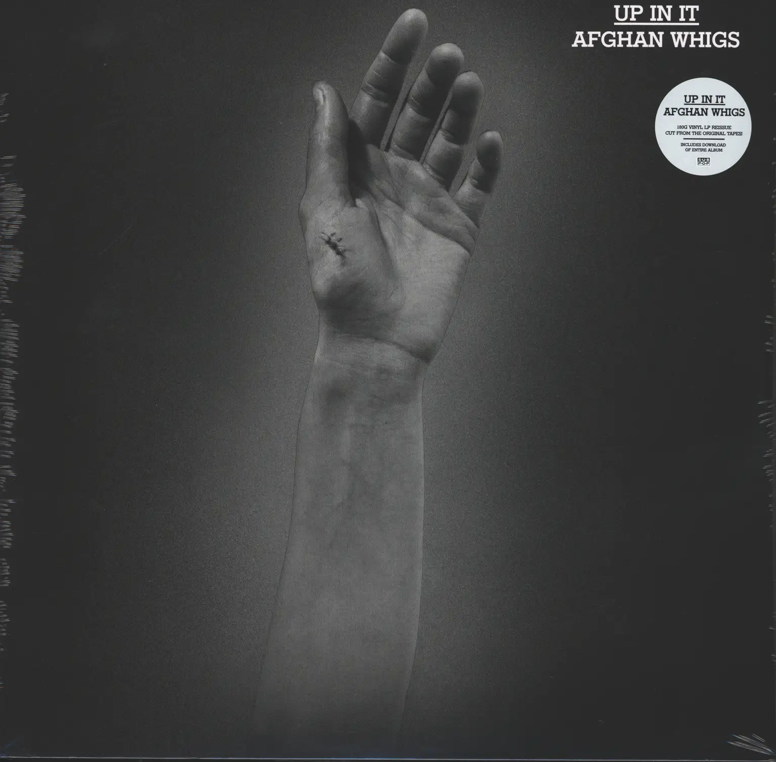 The Afghan Whigs: Up In It, LP (Vinyl)