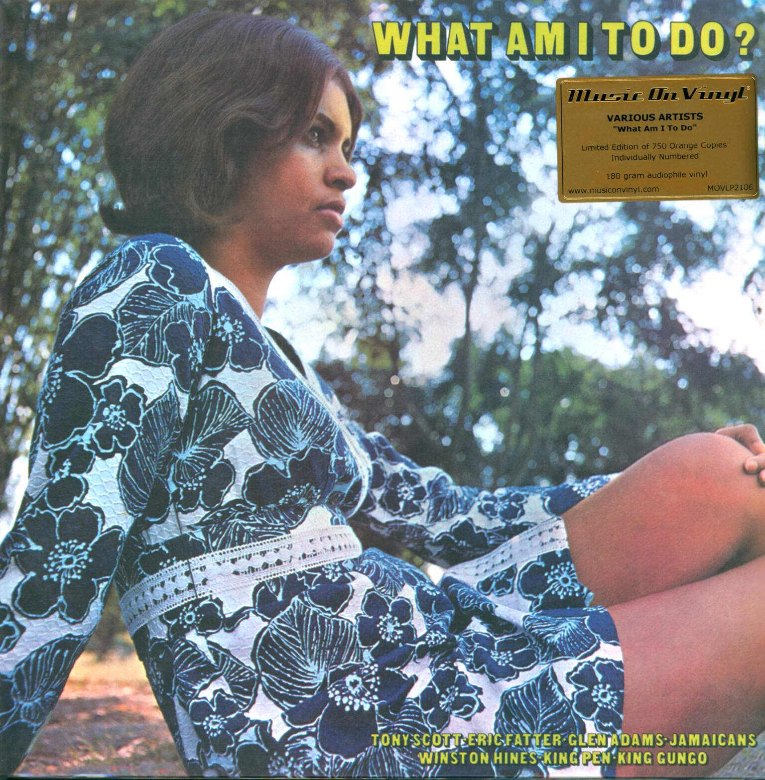 Various: What Am I To Do, LP (Vinyl)