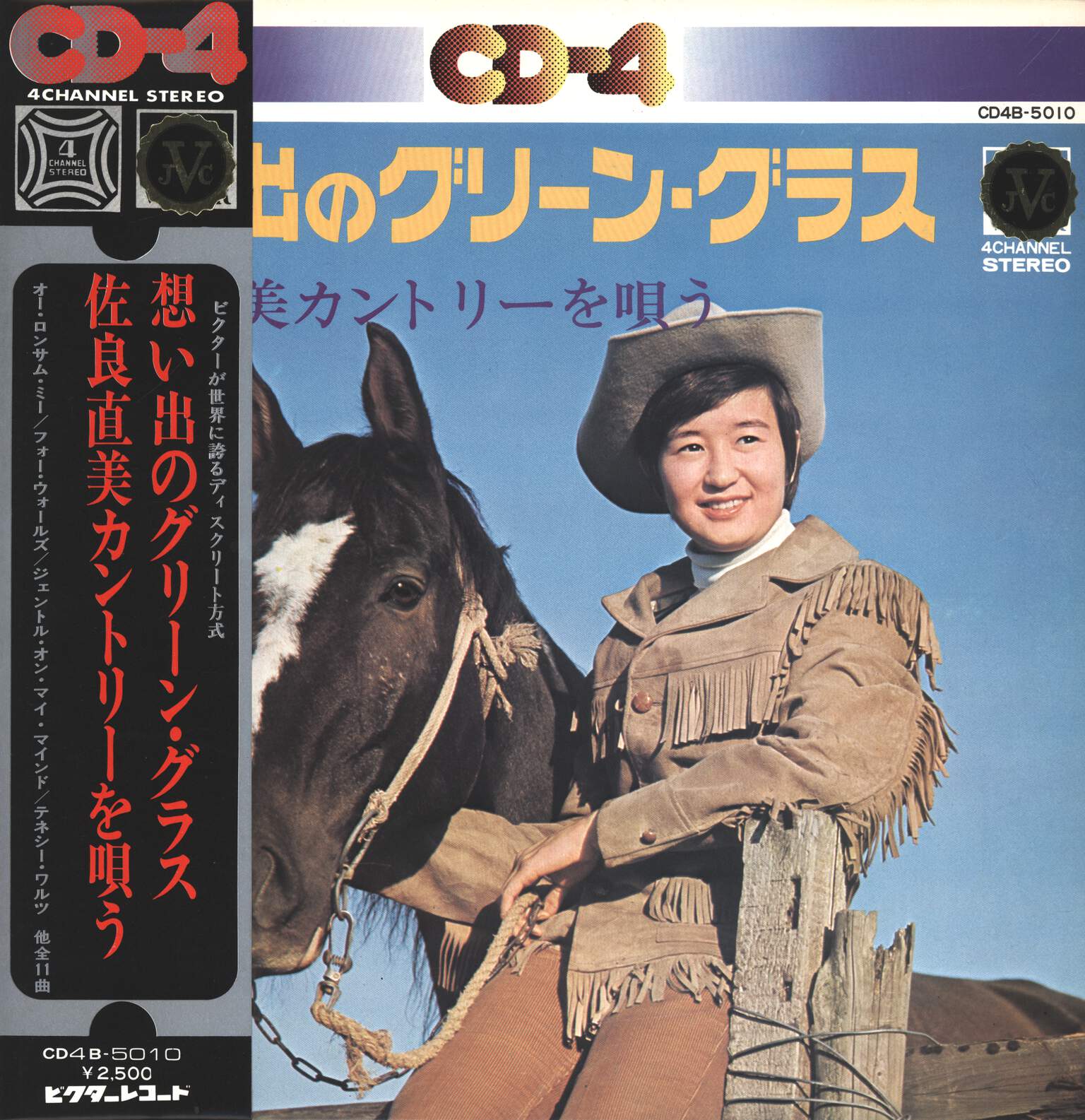 Naomi Sagara: Green Grass of Home, LP (Vinyl)