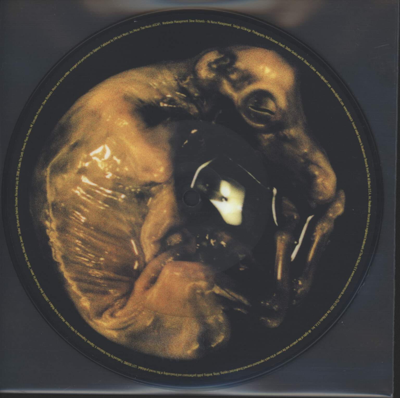 Slipknot: Left Behind, 7" Single (Vinyl)