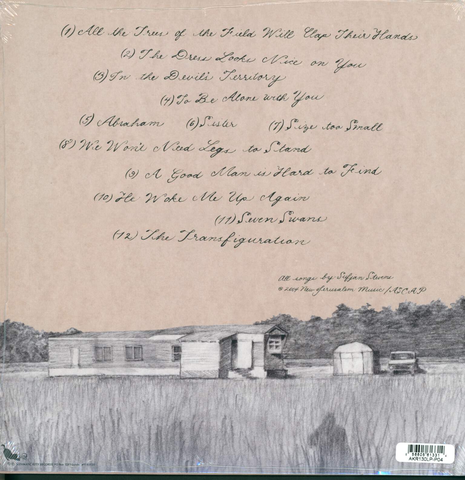 Sufjan Stevens: Seven Swans, LP (Vinyl)