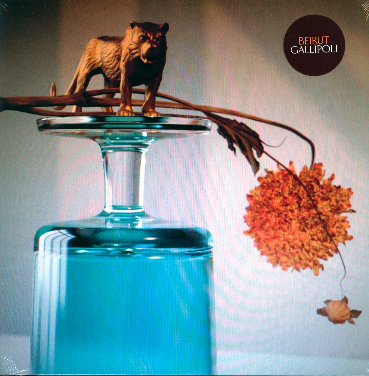 Beirut: Gallipoli, LP (Vinyl)