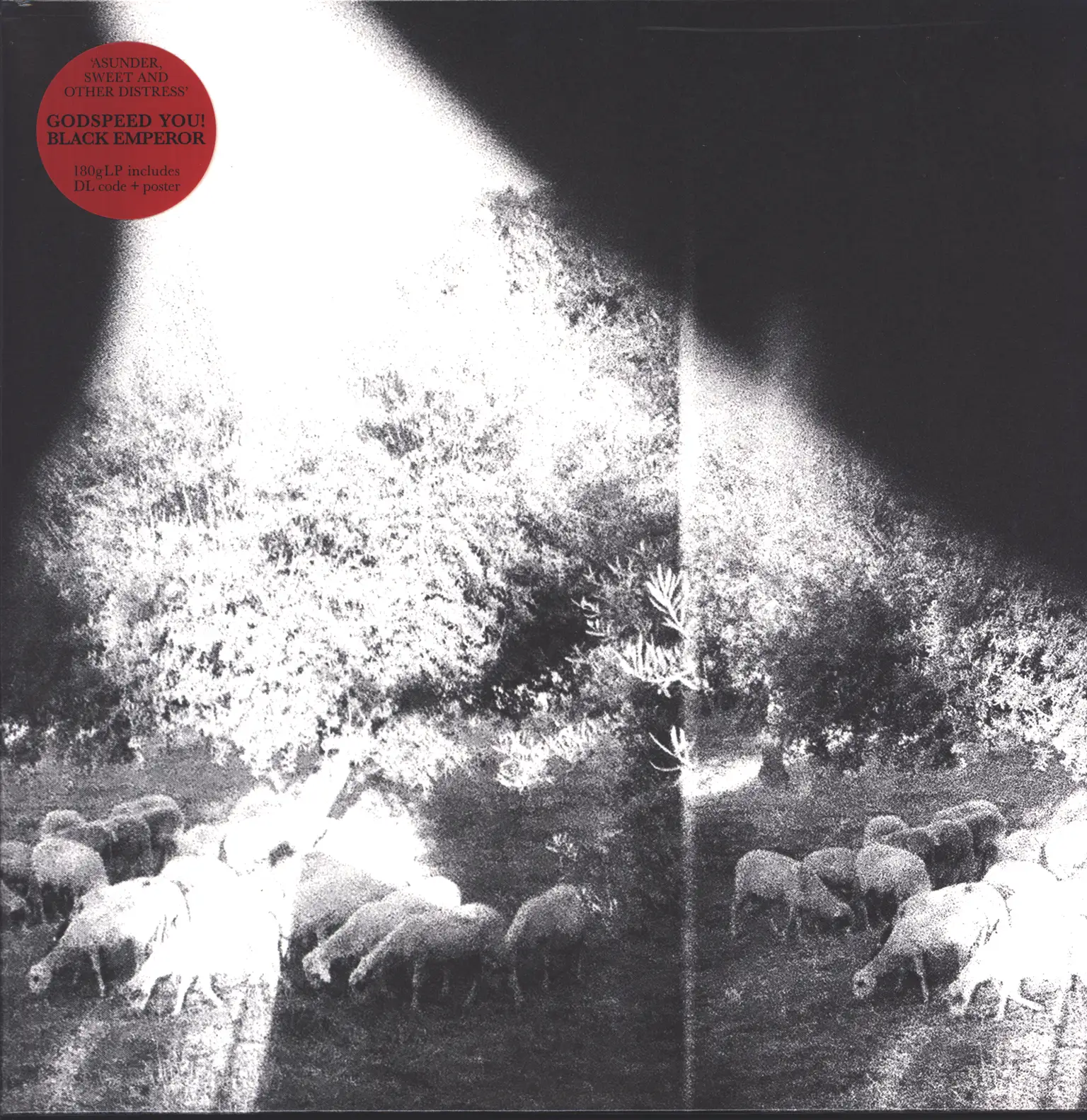 Godspeed You Black Emperor: Asunder, Sweet And Other Distress, LP (Vinyl)
