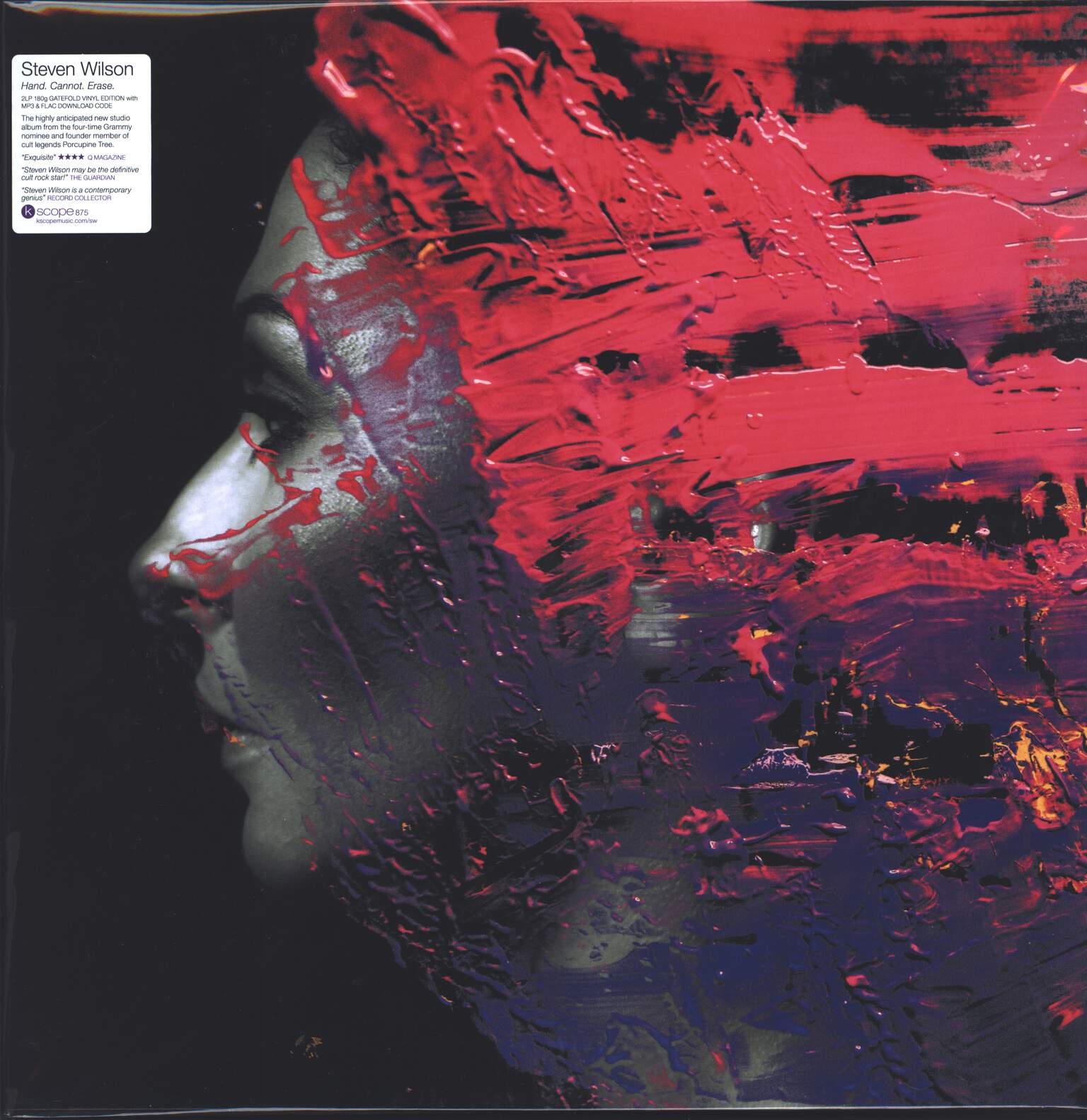 Steven Wilson: Hand. Cannot. Erase., 2×LP (Vinyl)