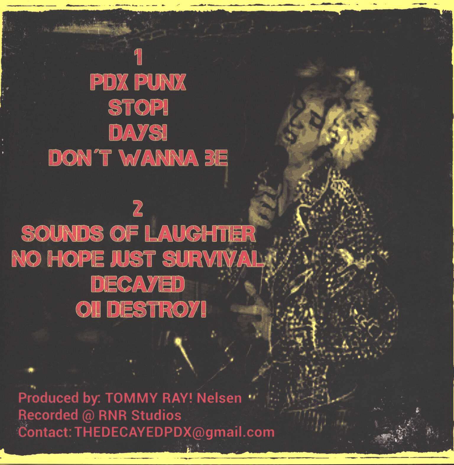 The Decayed!: PDX PUNX, Mini LP (Vinyl)
