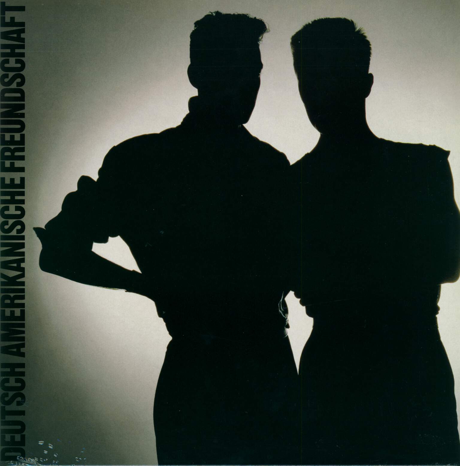 Deutsch Amerikanische Freundschaft: Für Immer, LP (Vinyl)